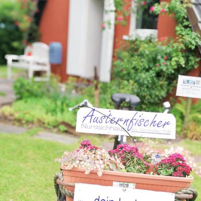 Haus Austernfischer 02