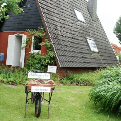 Haus Austernfischer 03